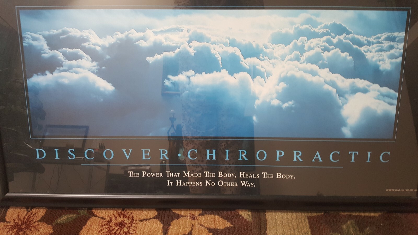 Chiropractic framed reception wall office picture height 20″ x length is 38 in