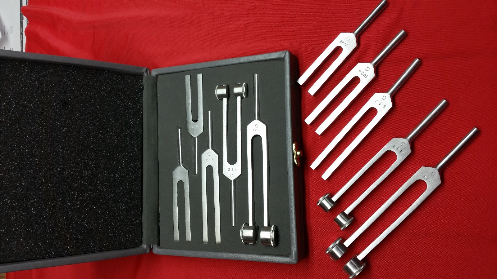 5 Tuning Forks Set Medical Surgical Chiropractic Physical Diagnostic instruments