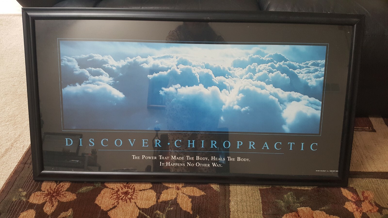 Chiropractic framed reception wall office picture height 20″ x length is 38 in
